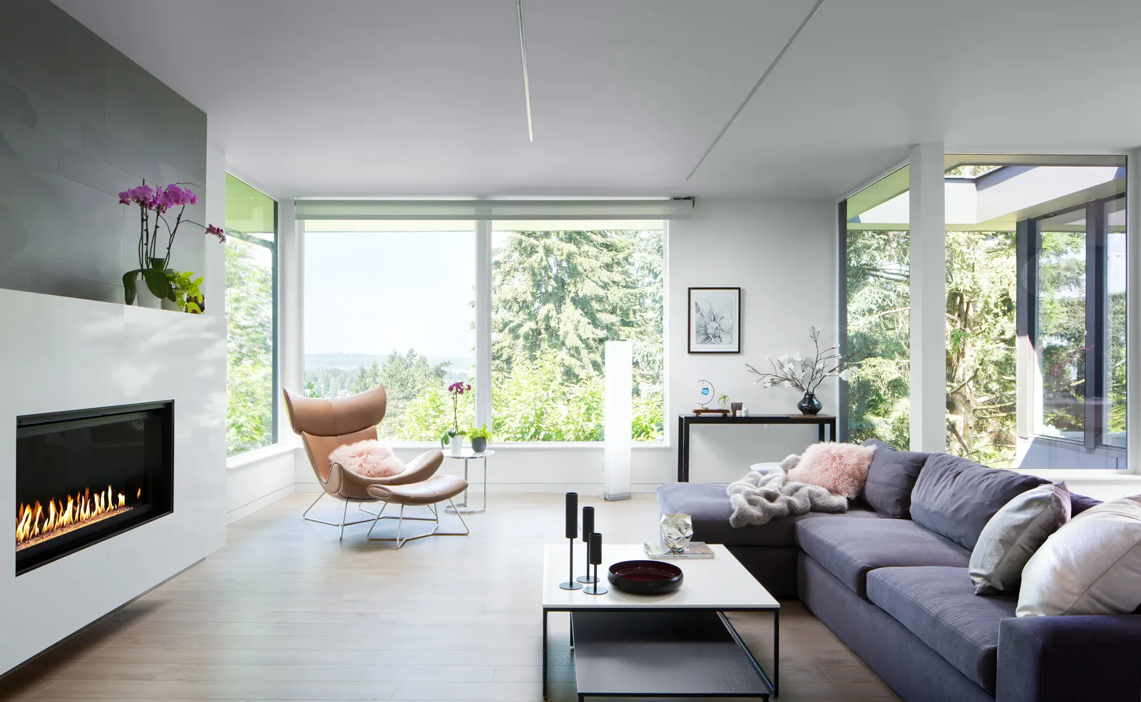 Seattle Interior Designer - Kirkland Contemporary Living